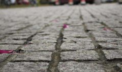 辽宁民族师范高等专科学校2019年辽宁幼师排名解读