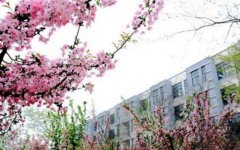 辽宁特殊教育师范高等专科学校2019年辽宁幼师排名解读