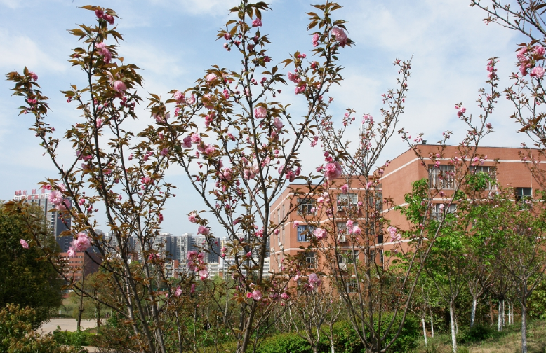  湖南机电职业技术学院
