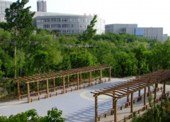 山东师范大学历山学院招生老师QQ及电话