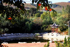 山东师范大学历山学院2020有哪些专业及什么专业好