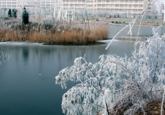 滨州学院教师教育学院2020招生简章及计划