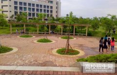 赣南卫生健康职业学院2019招生录取分数线