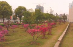 吉林城市职业技术学院招生老师QQ及电话