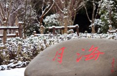上海东海职业技术学院护理学院2019招生录取分数线