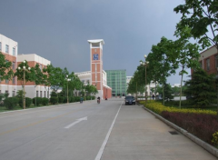 聊城大学东昌学院2020有哪些专业及什么专业好