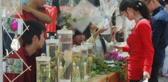 江西省哪里有药剂专业学校招生，有几个