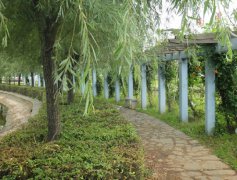 吉林化工学院招生老师QQ及电话