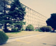 上海科学技术职业学院招生老师QQ及电话