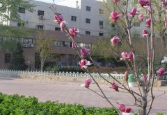 上海交通职业技术学院2019报名时间及报名方式