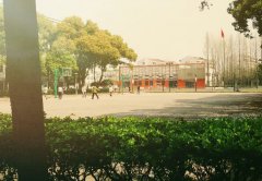 上海科学技术职业学院2019有哪些专业及什么专业好