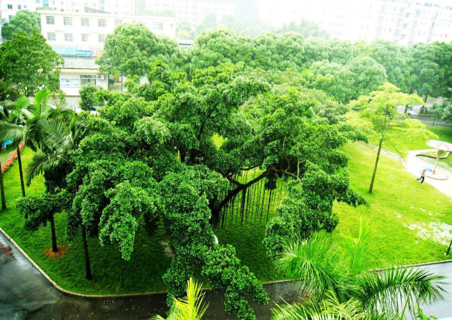长沙文理专修学院