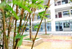 潍坊护理职业学院2019年山东卫校排名解读