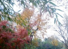 山东师范大学历山学院2020年山东幼师排名解读