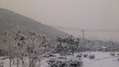 泰山学院教师教育学院2020年山东幼师排名解读