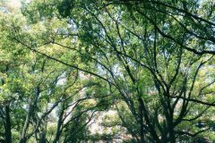 上海科学技术职业学院2020招生办电话及联系方式