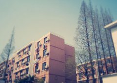 上海科学技术职业学院地址在哪里