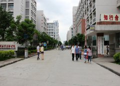 广州现代信息工程职业技术学院2020招生录取分数线
