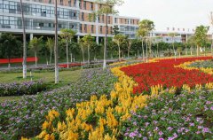 河源技师学院2020学费是多少钱及收费标准