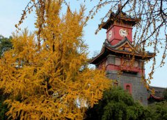 浙江科技学院2019有哪些专业及什么专业好