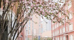 天津医科大学2019有哪些专业及什么专业好