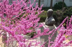 辽宁医学院医疗学院2019年辽宁卫校排名解读