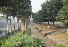 浙江科技学院地址在哪里