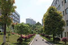 邵阳职业技术学院2020年报名时间及报名方式