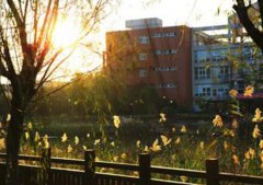 上海思博职业技术学院2019学费是多少钱及收费标准
