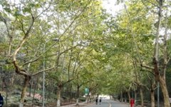济宁医学院2019学费是多少钱及收费标准
