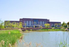 上海思博职业技术学院2019招生录取分数线