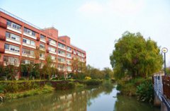 上海思博职业技术学院2019招生简章及计划