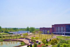 上海思博职业技术学院2020招生办电话及联系方式