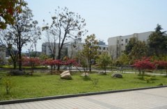 沈阳职业技术学院2019年辽宁汽修排名解读