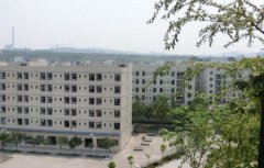 上海健康医学院2019招生录取分数线