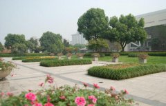 杭州医学院2019招生录取分数线