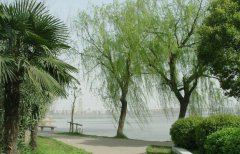 上海健康医学院2019招生简章及计划