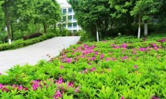 赣南卫生健康职业学院2020报名时间及报名方式