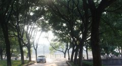 中南大学湘雅医学院2019年湖南卫校排名解读