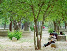 上海健康医学院招生老师QQ及电话