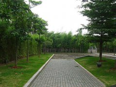 上海健康医学院地址在哪里