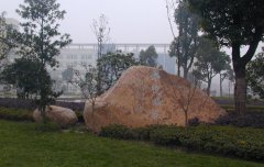 杭州医学院招生老师QQ及电话