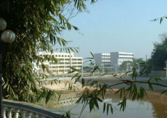 广州市技师学院2020招生录取分数线