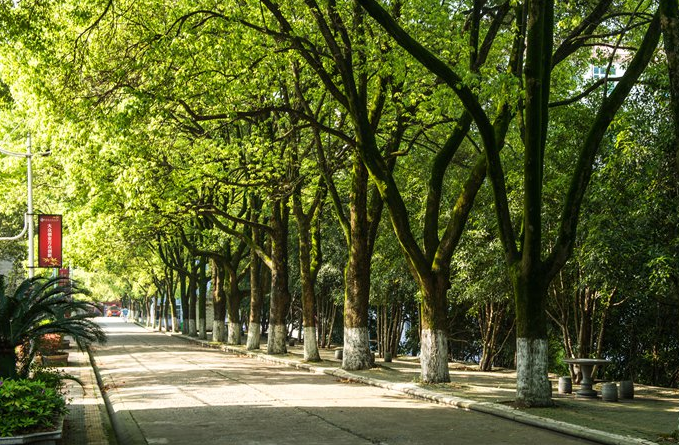 咸宁职业技术学院