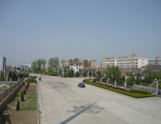 德州科技职业学院教育学院2020有哪些专业及什么专业好