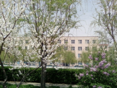 德州科技职业学院教育学院2020招生录取分数线