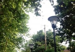 山东协和学院2020年山东幼师排名解读