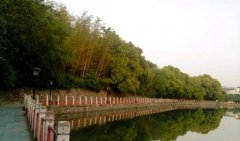 青岛大学师范学院2020年山东幼师排名解读