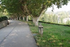 菏泽学院2020年山东幼师排名解读