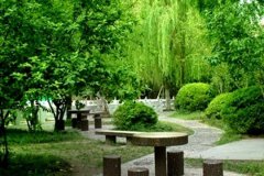 齐鲁师范学院教师教育学院2020年山东幼师排名解读